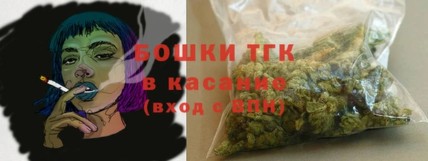 apvp Богданович