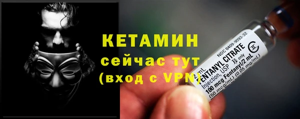таблы Богородицк