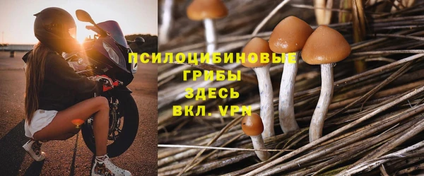 таблы Богородицк