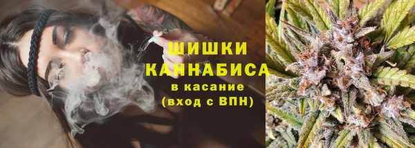 apvp Богданович
