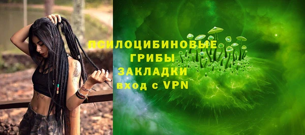 дурь Богородск