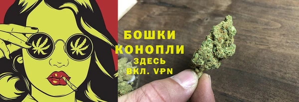 дурь Богородск