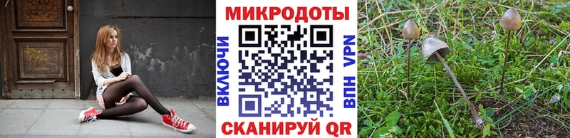 магазин  наркотиков  Октябрьский  Псилоцибиновые грибы мицелий 